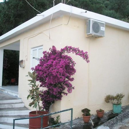 Faliraki Apartments Benitses  Exterior foto